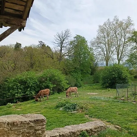 Domaine Puy Saint Jammes