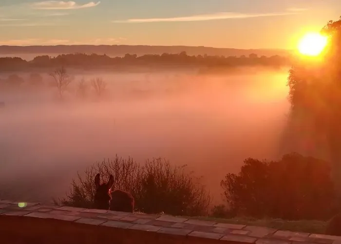 Domaine Puy Saint Jammes